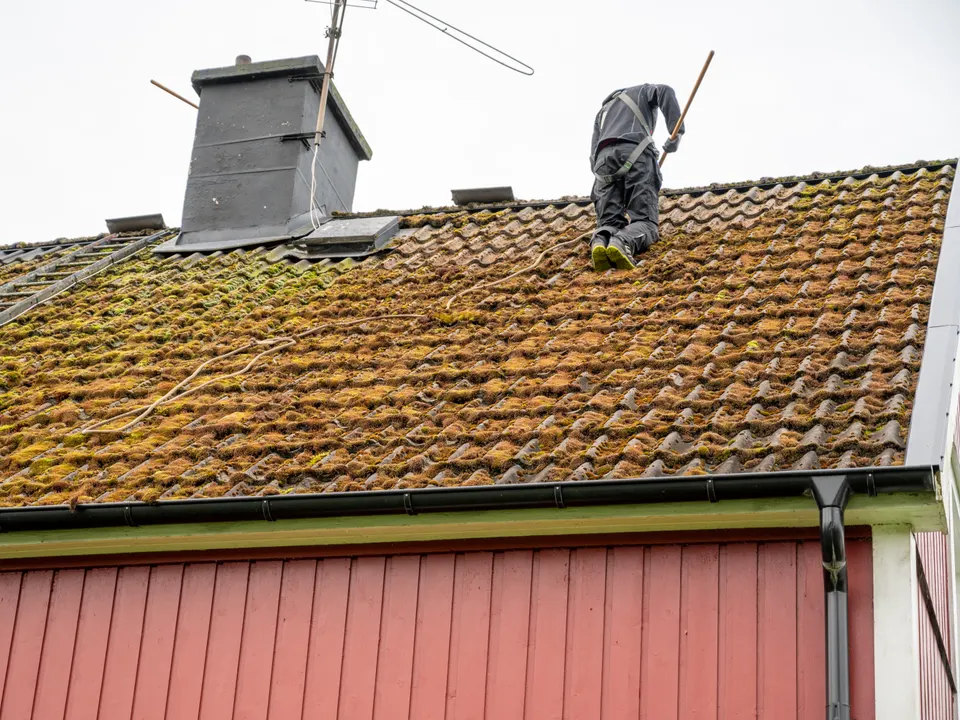 Roof Moss Removal by Steadfast Roofing and Building