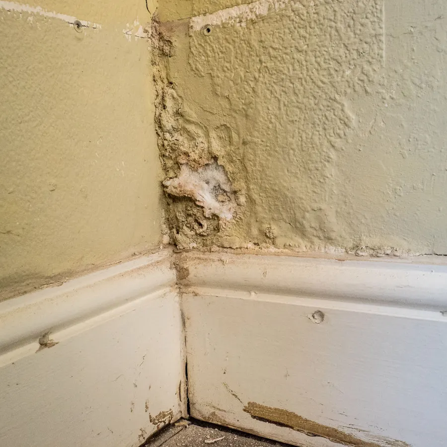 Damp Proofing work