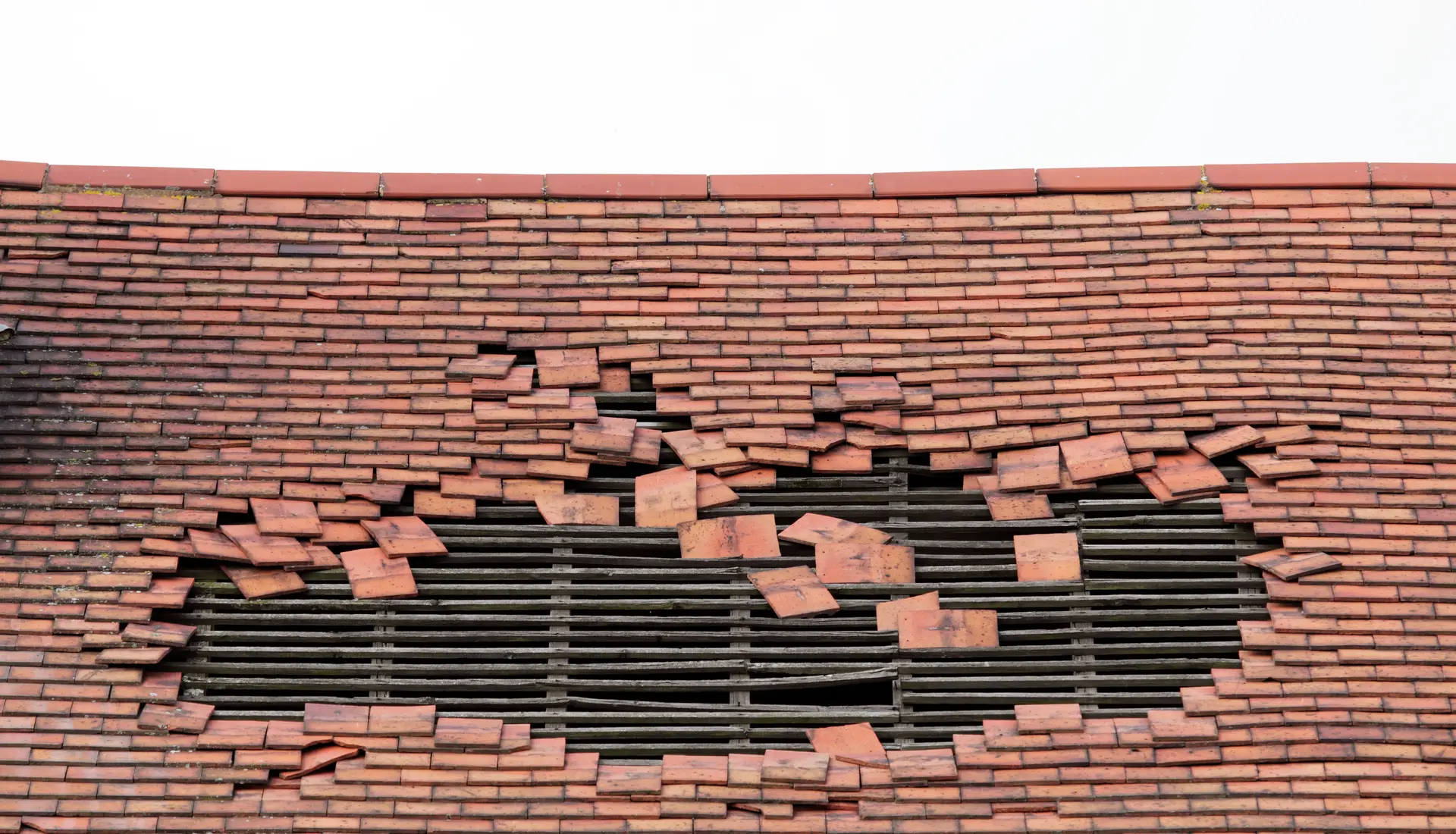 Emergency Roofers by Steadfast Roofing and Building