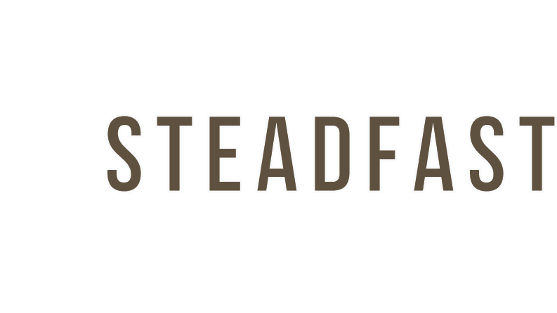 Steadfast Roofing & Building Ltd